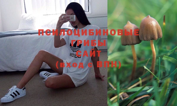 спиды Абаза